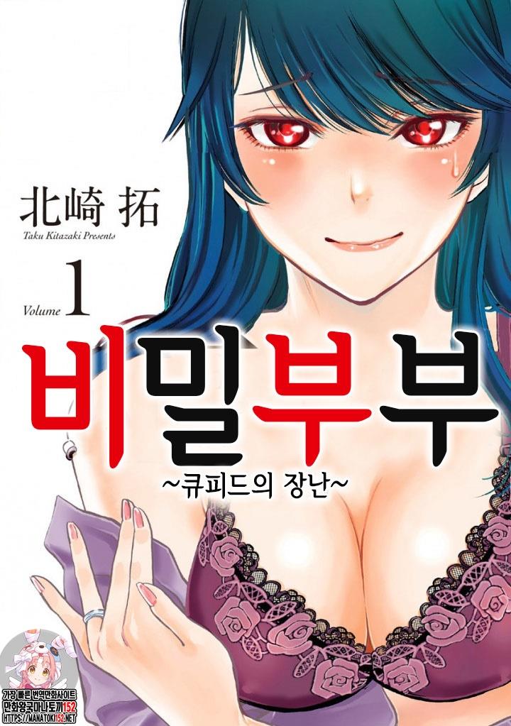 비밀부부